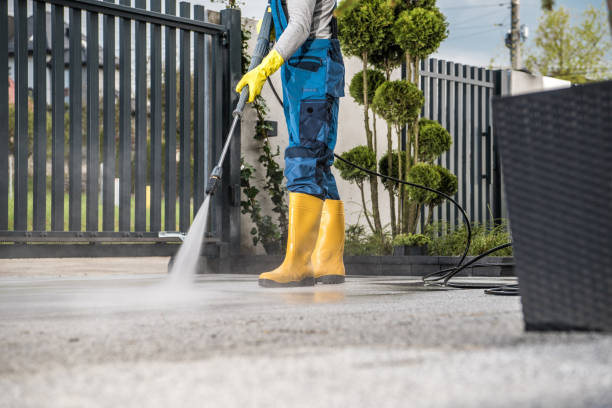 Best Local Pressure Washing Services  in Montague, MI